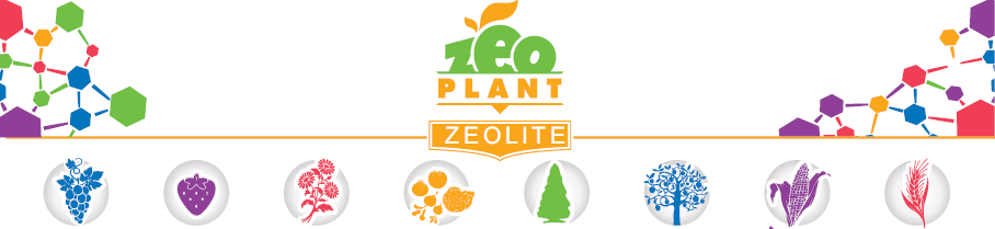 Zeoplant Banner